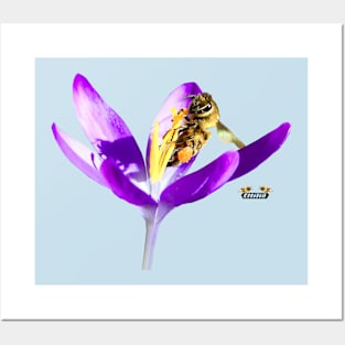 Honey bee Posters and Art